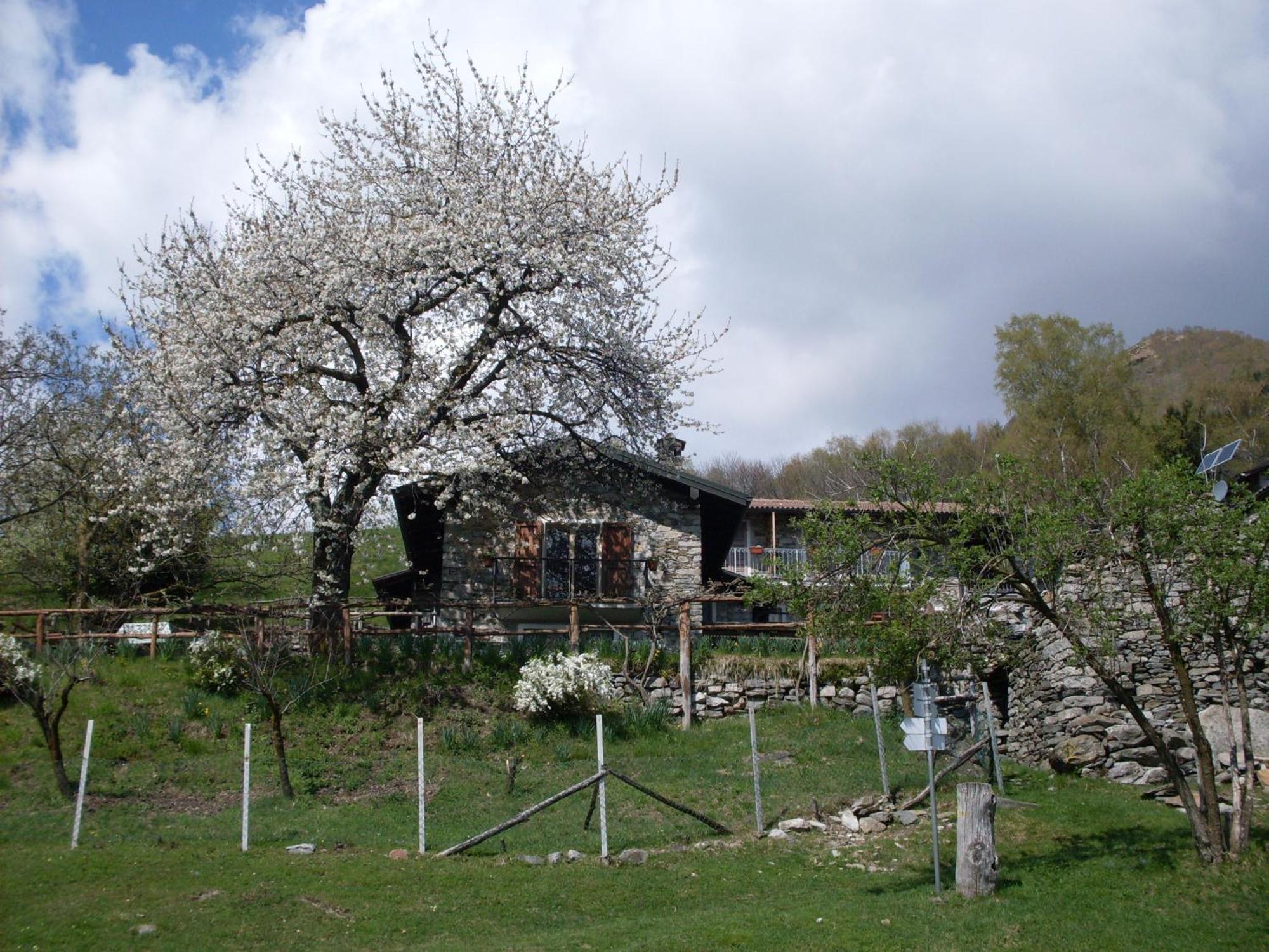 Agriturismo Da Attilio カンノビオ エクステリア 写真
