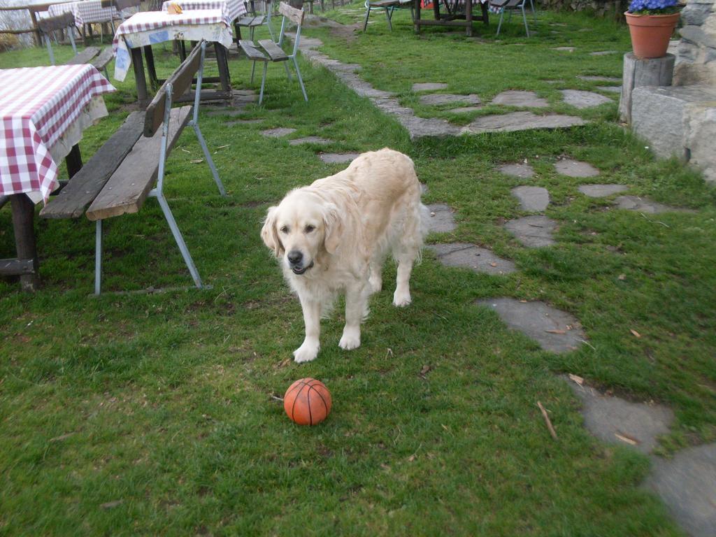 Agriturismo Da Attilio カンノビオ エクステリア 写真