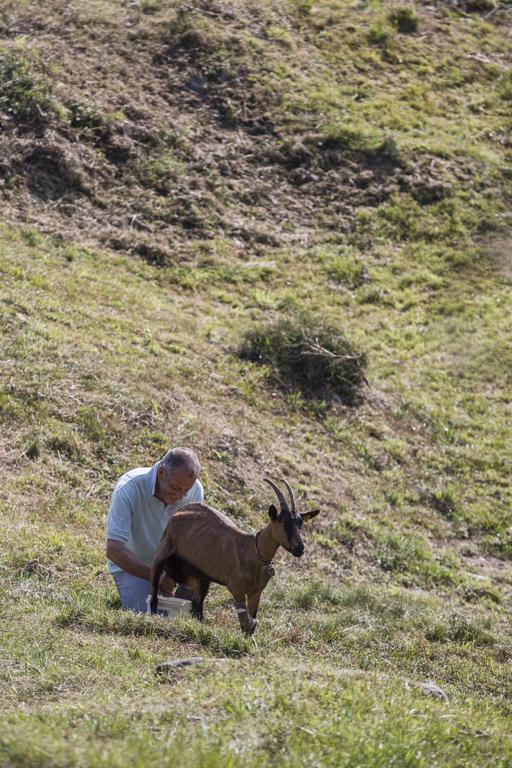 Agriturismo Da Attilio カンノビオ エクステリア 写真