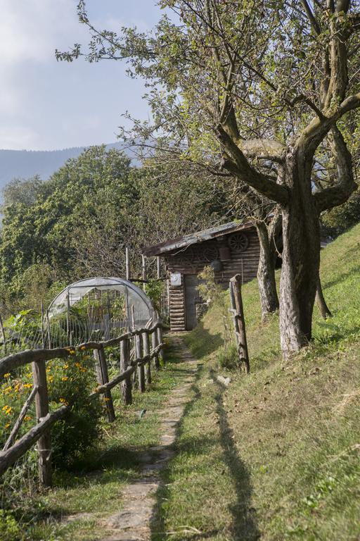 Agriturismo Da Attilio カンノビオ エクステリア 写真
