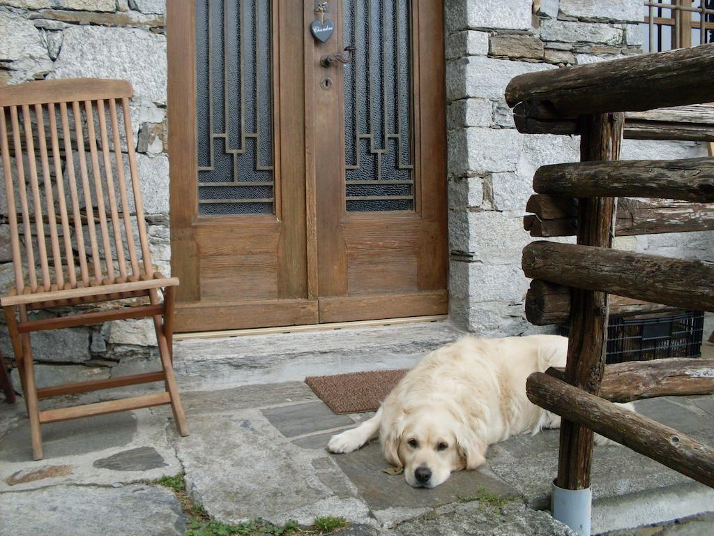 Agriturismo Da Attilio カンノビオ 部屋 写真
