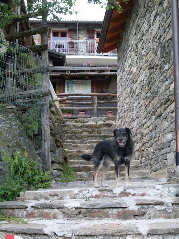 Agriturismo Da Attilio カンノビオ エクステリア 写真